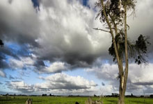 超市促销活动宣传文案,超市促销宣传词怎么写