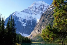 东方甄选的自营品是什么意思,东方购物自营商品